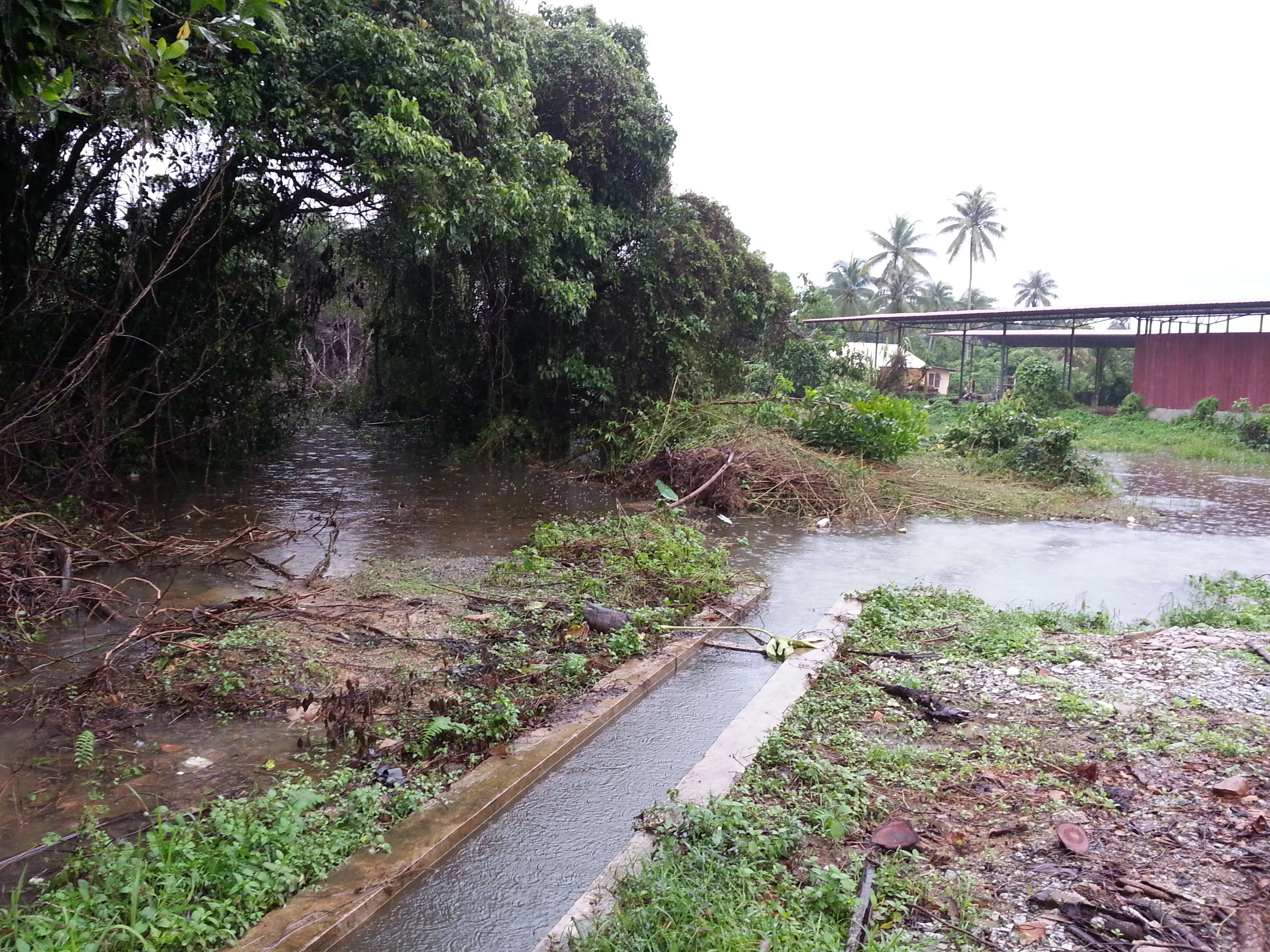 taman mas1