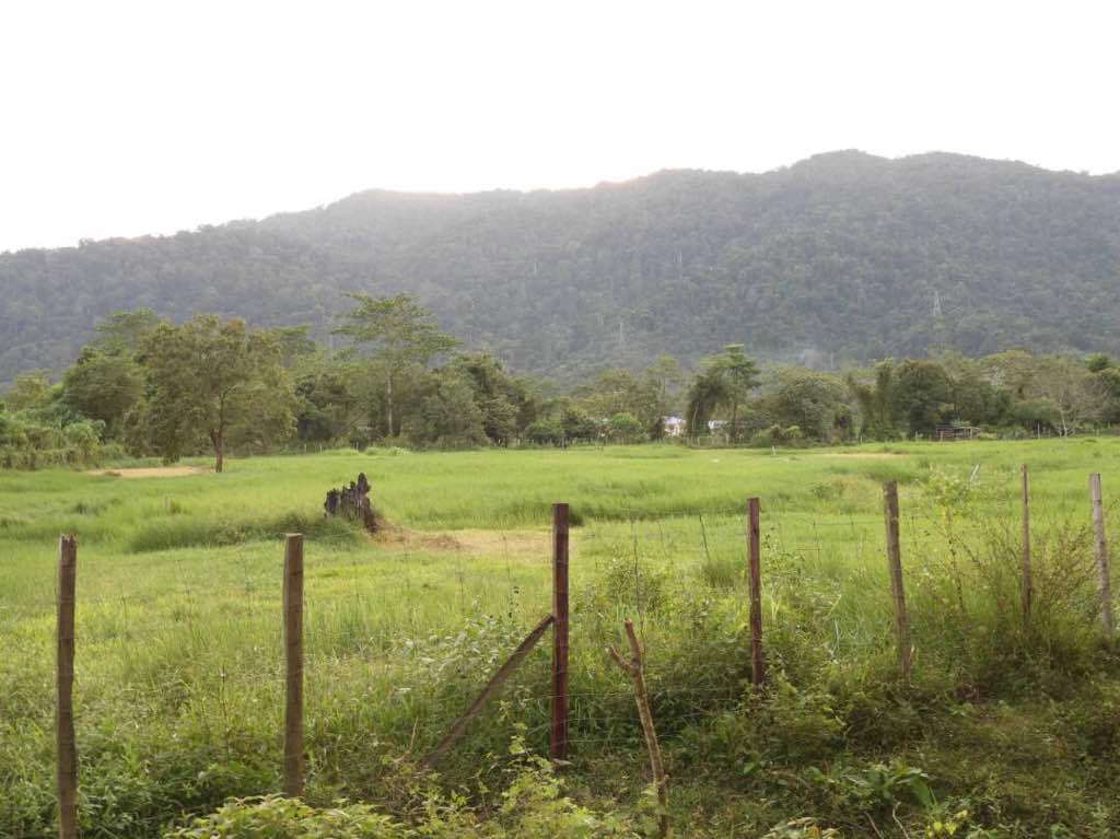 Mengapa Biarkan Kemaman Jadi ‘Koman’ ?