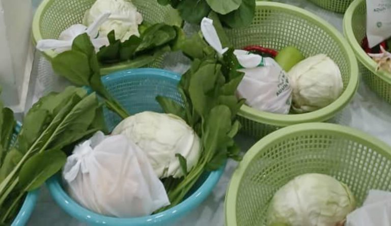 ‘Seraga Hijau’  Tampung Belanja Dapur