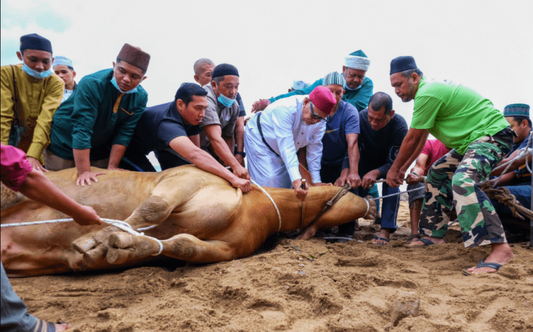 What is Eid ul-Adha?
