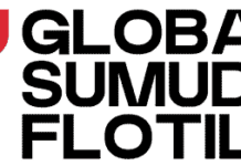 Joint Statement : A Call For Immediate Action To Ensure Humanitarian Access To Gaza And To End The Genocide Of The Palestinian People