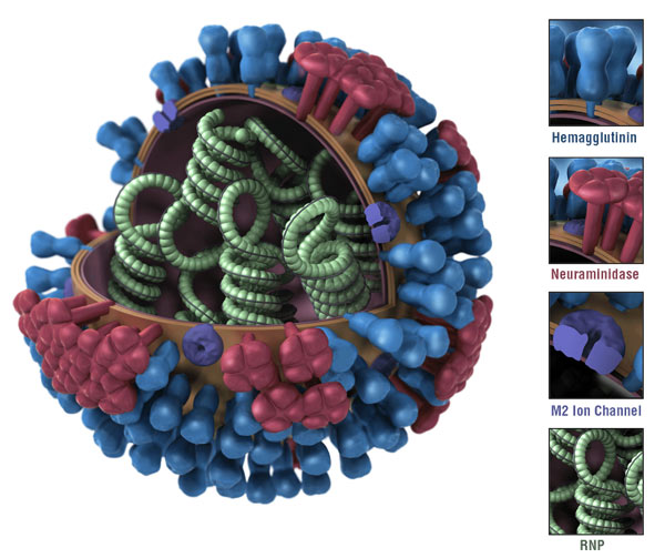 3d-influenza-multicoror-key-pieslice-600px