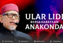 Ujar Lidi Bersahabatkan Anakonda