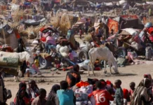 Lebih 99,000 Rakyat Sudan Hilangan Tempat tTnggal di El-Fasher