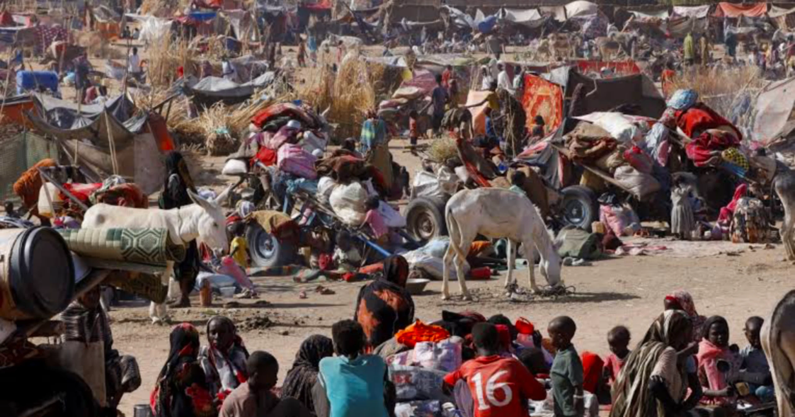 Lebih 99,000 Rakyat Sudan Hilangan Tempat tTnggal di El-Fasher