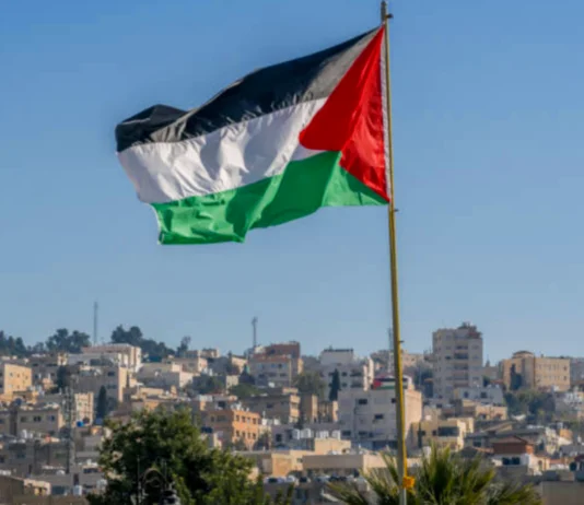 Negara Palestin Kunci Capai Keamanan Jangka Panjang di Timur Tengah