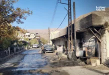 Serangan Israel Ke Beit Jinn, Pelanggaran Terang-terangan Kedaulatan Syria