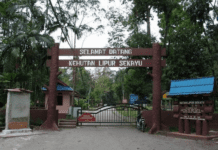 Peruntukan Naik Taraf Hutan Lipur Sekayu