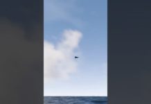 Pengeluaran Dron Iran Melonjak Sepuluh Kali Ganda Sejak Perang Jun