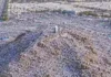 Hari Arafah; Sejarah Dan Kecintaan Kepada Allah, Rasul