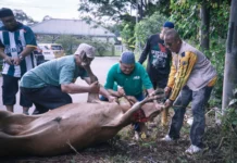 Korban Perdana DMPKB Perkukuh Kebajikan dan Ukhuwah Masyarakat