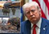 Tiga Bulan Berlalu, Adakah Trump Kalah Dalam Perang Dengan Iran?