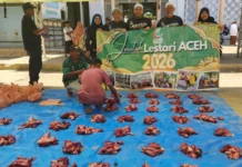 Santuni Mangsa Tsunami Darat Aceh, Anjur Korban Perdana di Pidie Jaya