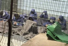 Kumpulan Hak Asasi Kecam Keganasan Seksual Israel terhadap Banduan Palestin, Tuntut Pertanggungjawaban