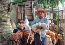 Awang Ada Harapan Di Simpang Jeram