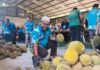 Empat Tan Durian Jadi Pengikat Ukhuwah Warga Hulu Besut
