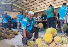 Empat Tan Durian Jadi Pengikat Ukhuwah Warga Hulu Besut