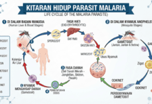 Siapsiaga Kesihatan Awam, Terengganu Kekal Tenang, Bahagia